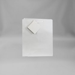 Small White Gift Bag