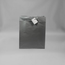 Lg Silver Bag