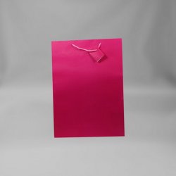 Large Hot Pink Gift Bag