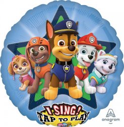 PAW PATROL SAT PKGD