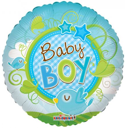 Baby Boy Bird - Click Image to Close