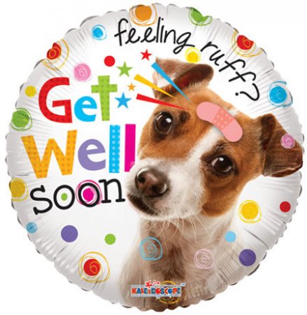 GET WELL DOG - Click Image to Close