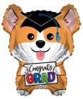 Grad Corgi Shape