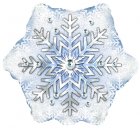 Prism Pattern Snowflake 9" x