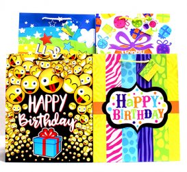 Large Matte Birthday Gift Bag