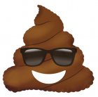 Emoji Poop w/Sunglasses 9"