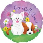 Get Well Puppy & Kitten