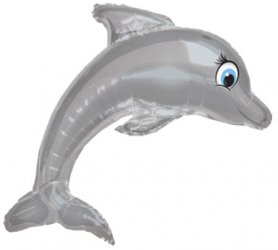 GRAY DOLPHIN x