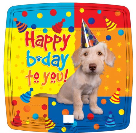 Dog with Party Hat Birthday - Click Image to Close