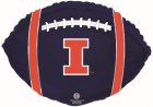 University of Illinois Football