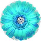 Turquoise Daisy