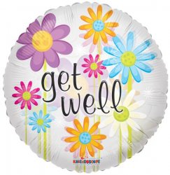 Get Well Daisies Clearview