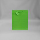 Large Solid Matte Light Green Gift Bag