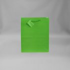 Med Light Green Bag