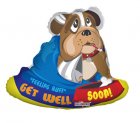 Bull Dog Get Well Soon