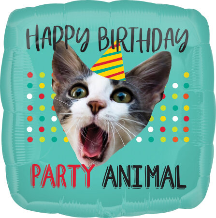 Happy Birthday Party Animal - Click Image to Close