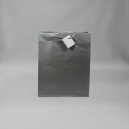 Lg Silver Bag - Click Image to Close