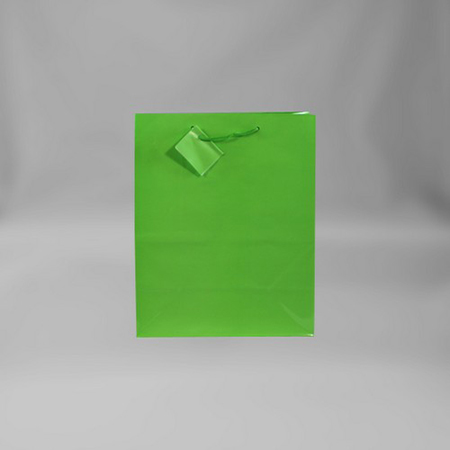 Large Solid Matte Light Green Gift Bag - Click Image to Close