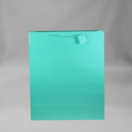 Medium Solid Matte Turquoise Gift Bag - Click Image to Close