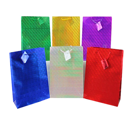 XL Holographic Bag - Click Image to Close