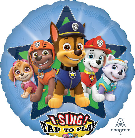 PAW PATROL SAT PKGD - Click Image to Close