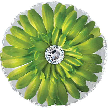 Lime Green Gerbera - Click Image to Close