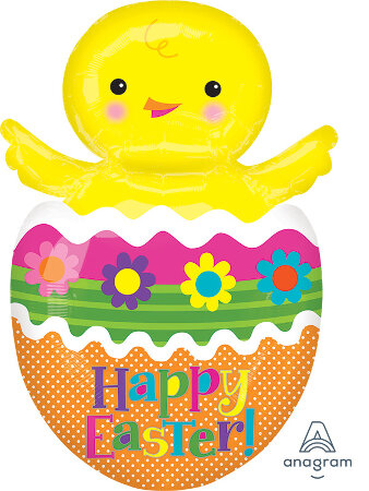 Chick in Colorful Egg x - Click Image to Close