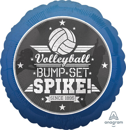 Volleyball Bump, Set, Spike - Click Image to Close